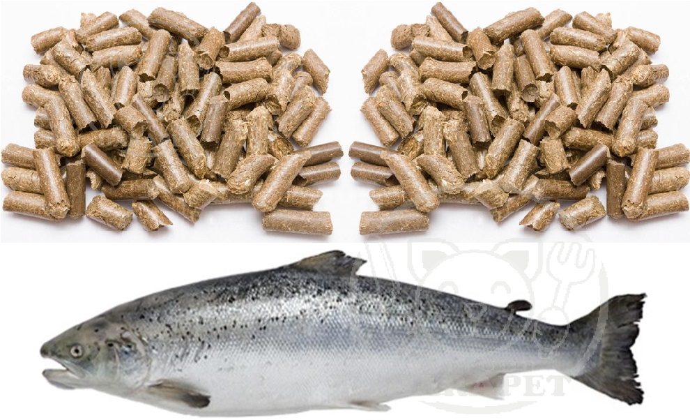 پخش کننده خوراک ماهی پرورشی