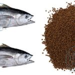 توزیع عمده خوراک ماهی صنعتی