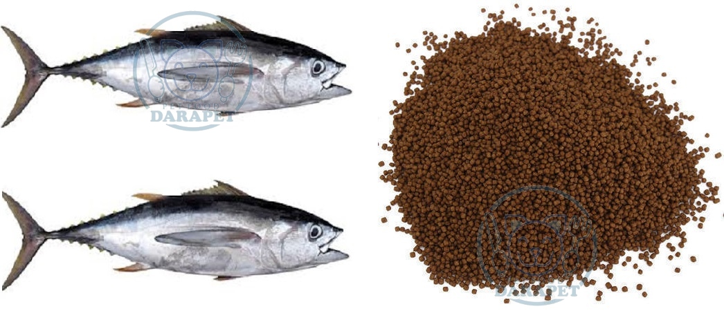 توزیع عمده خوراک ماهی صنعتی