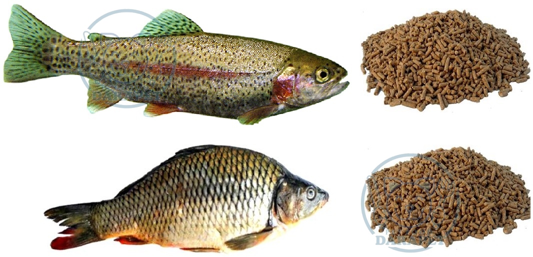 عرضه خوراک ماهی پرورشی