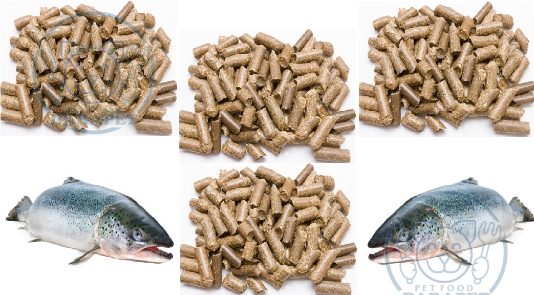 پخش خوراک ماهی عمده