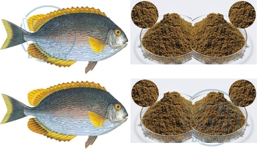 بررسی میزان حجم جیره غذایی ماهی