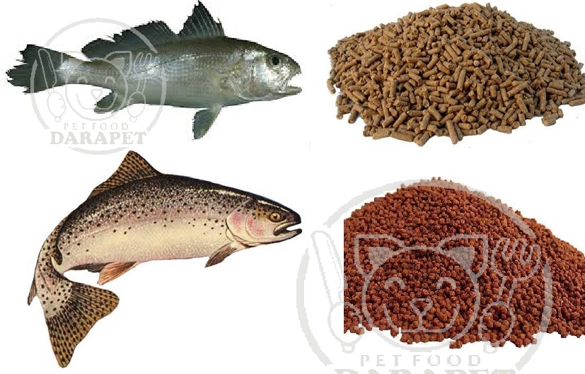 مقایسه تغذیه ماهی در آب شور و شیرین