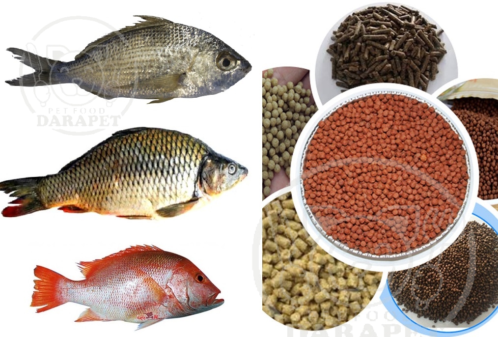 غذای ترکیبی مخصوص به کدام نوع ماهی است؟