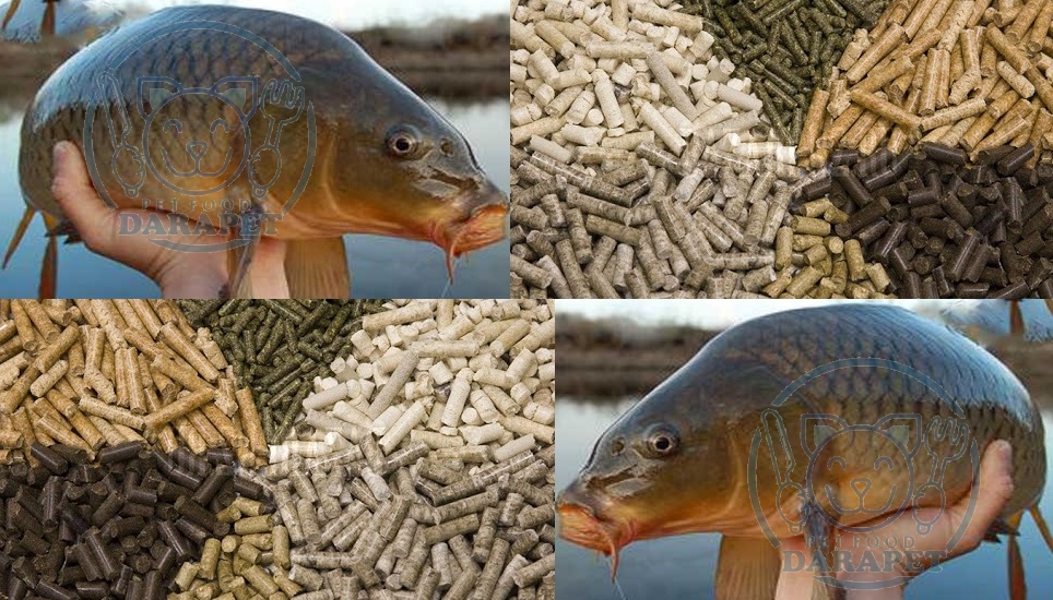 بررسی ارزش غذایی خوراک ماهی کپور
