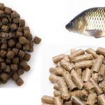 توزیع انواع خوراک ماهی کپور پرورشی