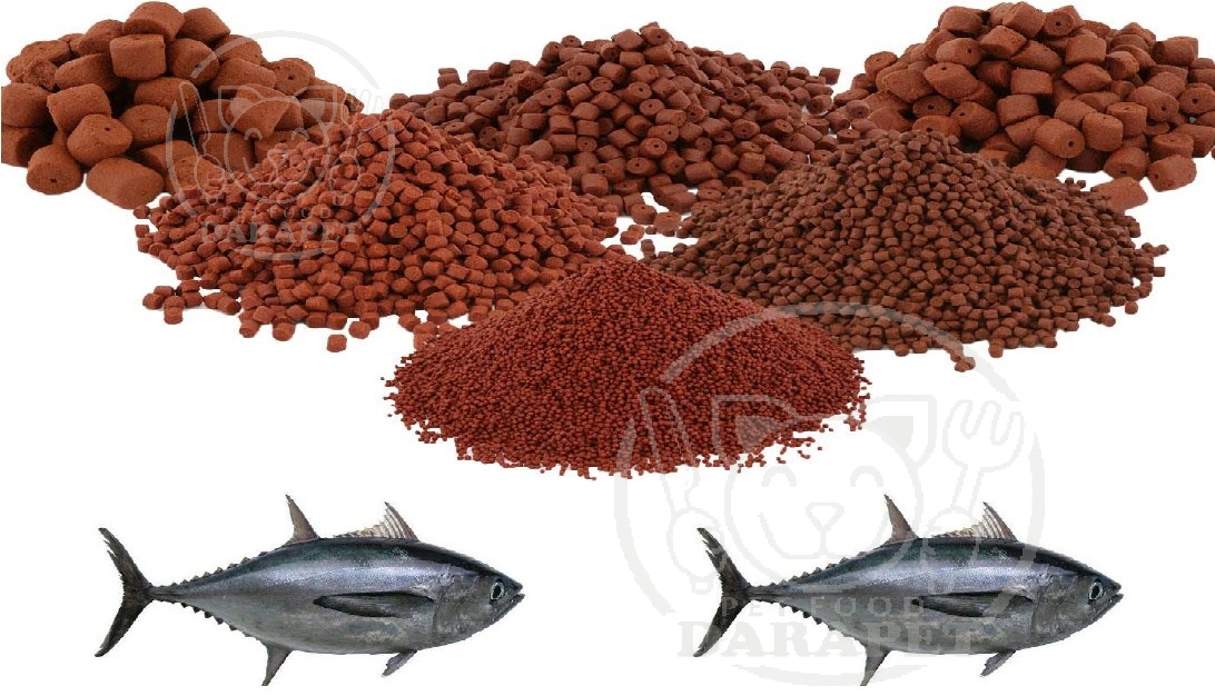 فروش خوراک ماهی صادراتی