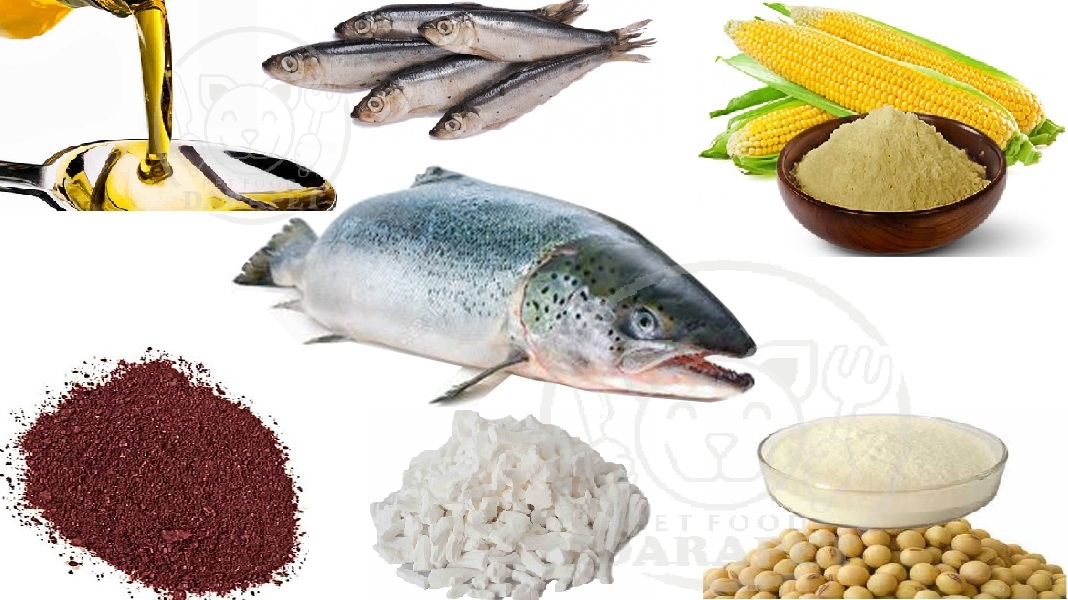 مواد غذایی مفید برای ماهی قزل آلا