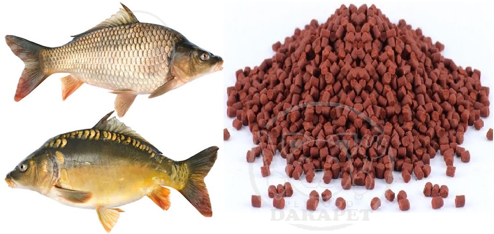 پخش غذا ماهی کپور پرورشی