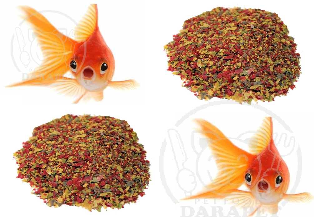 شرکت توزیع غذای ماهی قرمز فله
