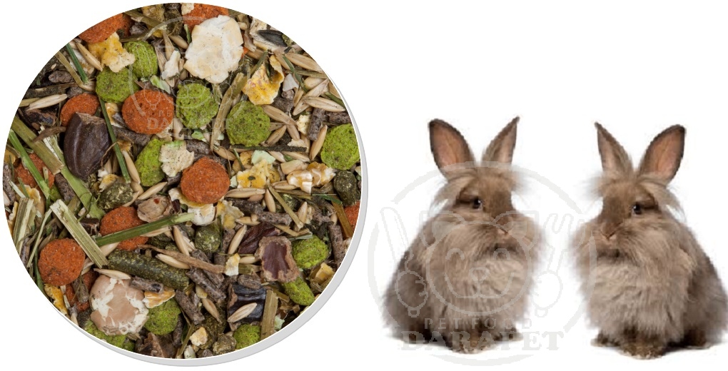 فواید غذا مخلوط خرگوش چیست؟