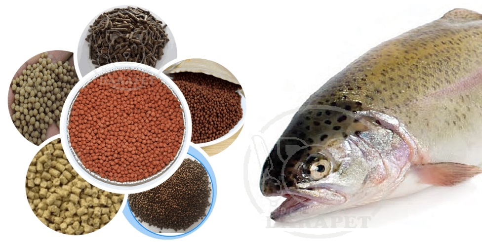 شرکت واردات خوراک اکسترود برای ماهی قزل آلا