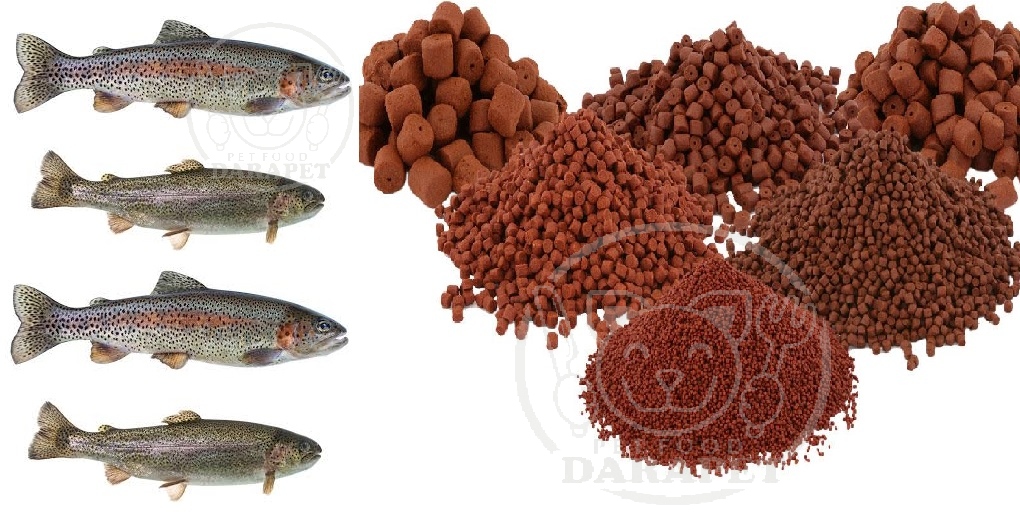 پخش انواع خوراک اکسترود ماهی قزل آلا