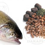عرضه انواع غذای ماهی قزل آلا پرورشی