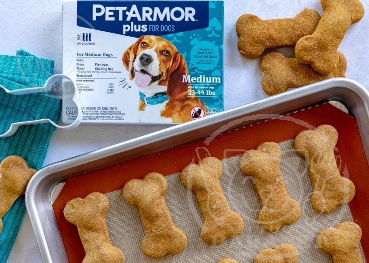 شرکت تولید غذای تشویقی سگ