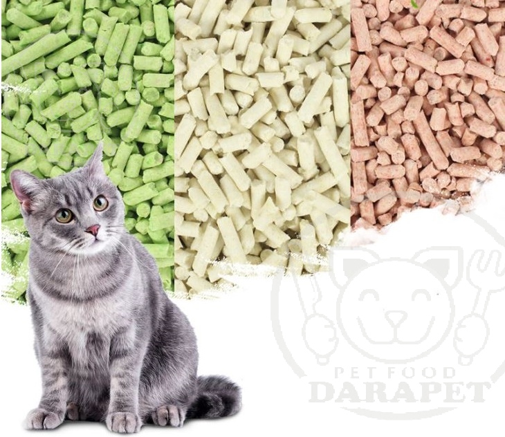 مدل های مختلف غذای خشک گربه