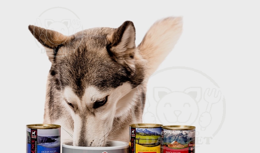 طریقه مصرف کنسرو غذا سگ 