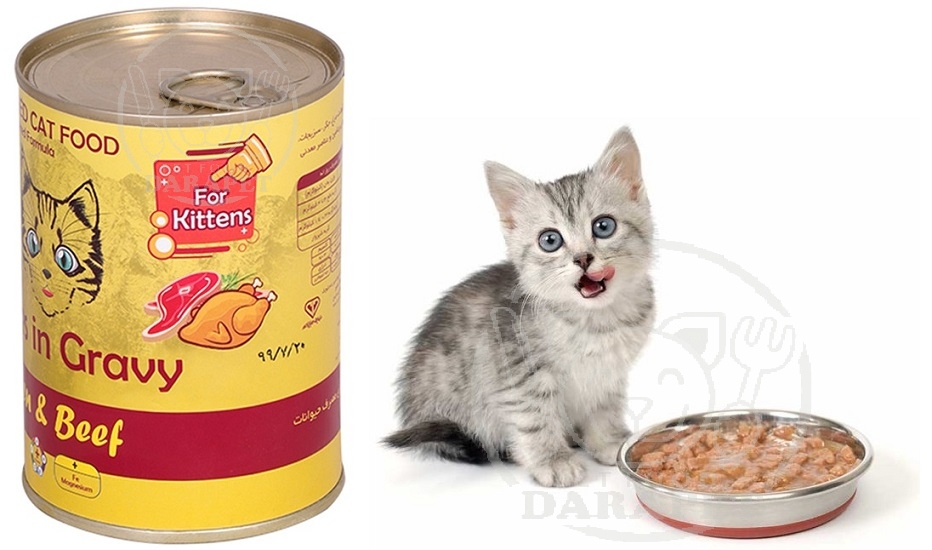  طریقه مصرف کنسرو غذا بچه گربه